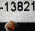  ( - BHAK-13822)  @11 [ ] CreativeCommons Attribution Non-Commercial No Derivatives (2024) Matt Lemay Hakai Institute