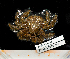  ( - BHAK-14048)  @11 [ ] CreativeCommons Attribution Non-Commercial No Derivatives (2025) Matt Lemay Hakai Institute
