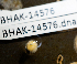  ( - BHAK-14576)  @11 [ ] CreativeCommons Attribution Non-Commercial No Derivatives (2025) Matt Lemay Hakai Institute