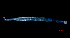  ( - BHAK-15685)  @11 [ ] CreativeCommons Attribution Non-Commercial No Derivatives (2024) Matt Lemay Hakai Institute