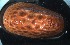  ( - BHAK-15707)  @11 [ ] CreativeCommons Attribution Non-Commercial No Derivatives (2024) Matt Lemay Hakai Institute