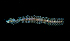  ( - BHAK-15939)  @11 [ ] CreativeCommons Attribution Non-Commercial No Derivatives (2024) Matt Lemay Hakai Institute