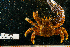  ( - BHAK-16231)  @11 [ ] CreativeCommons Attribution Non-Commercial No Derivatives (2024) Matt Lemay Hakai Institute