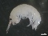  ( - BHAK-1647)  @11 [ ] 