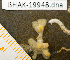  ( - BHAK-19948)  @11 [ ] CreativeCommons Attribution Non-Commercial No Derivatives (2025) Matt Lemay Hakai Institute