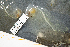  ( - BHAK-19950)  @11 [ ] CreativeCommons Attribution Non-Commercial No Derivatives (2025) Matt Lemay Hakai Institute
