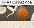  ( - BHAK-19952)  @11 [ ] CreativeCommons Attribution Non-Commercial No Derivatives (2025) Matt Lemay Hakai Institute