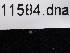  ( - BHAK-11584)  @11 [ ] CreativeCommons - Attribution No Derivatives (2019) Hakai Institute Hakai Institute