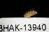  ( - BHAK-13940)  @11 [ ] CreativeCommons Attribution Non-Commercial No Derivatives (2024) Matt Lemay Hakai Institute