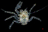  ( - ZHAK-02162)  @11 [ ] CreativeCommons Attribution Non-Commercial No Derivatives (2022) Matt Lemay Hakai Institute