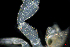 ( - ZHAK-02162)  @11 [ ] CreativeCommons Attribution Non-Commercial No Derivatives (2022) Matt Lemay Hakai Institute
