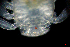  ( - ZHAK-02162)  @11 [ ] CreativeCommons Attribution Non-Commercial No Derivatives (2022) Matt Lemay Hakai Institute