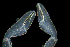  ( - ZHAK-02162)  @11 [ ] CreativeCommons Attribution Non-Commercial No Derivatives (2022) Matt Lemay Hakai Institute