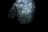  ( - ZHAK-02162)  @11 [ ] CreativeCommons Attribution Non-Commercial No Derivatives (2022) Matt Lemay Hakai Institute