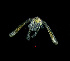  ( - ZHAK-01256-FCBB)  @11 [ ] CreativeCommons Attribution Non-Commercial No Derivatives (2022) Matt Lemay Hakai Institute