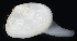  ( - BHAK-06484)  @11 [ ] CreativeCommons Attribution Non-Commercial No Derivatives (2018) Hakai Institute Hakai Institute