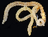  (Arabella iricolor - BHAK-06828)  @11 [ ] CreativeCommons Attribution Non-Commercial No Derivatives (2018) Hakai Institute Hakai Institute