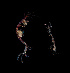  ( - BHAK-11848)  @11 [ ] CreativeCommons Attribution Non-Commercial No Derivatives (2019) Matt Whalen Hakai Institute