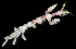  ( - BHAK2243)  @11 [ ] 