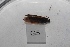  ( - HMCAD1211-172)  @12 [ ] Unspecified (default): All Rights Reserved  Unspecified Unspecified