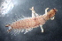  ( - 16-SWRC-0379)  @11 [ ] CreativeCommons - Attribution (2010) Stroud Water Research Center (SWRC) Stroud Water Research Center (SWRC)