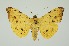  ( - RMNH.INS.1297253)  @11 [ ] CreativeCommons Attribution Non-Commercial Share-Alike (2022) Unspecified Naturalis Biodiversity Center