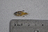 ( - LBPV_8905_43522)  @11 [ ] Unspecified (default): All Rights Reserved  Unspecified Unspecified