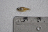  ( - LBPV_8905_43523)  @11 [ ] Unspecified (default): All Rights Reserved  Unspecified Unspecified