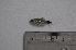  ( - LBPV_7647_36447)  @13 [ ] Unspecified (default): All Rights Reserved  Unspecified Unspecified