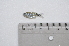  ( - LBPV_7647_36449)  @13 [ ] Unspecified (default): All Rights Reserved  Unspecified Unspecified