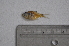  ( - LBPV_8905_43524)  @11 [ ] Unspecified (default): All Rights Reserved  Unspecified Unspecified