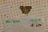  ( - RVcoll19C220)  @11 [ ] Department of Biology (2019) Dapporto, Leonardo University of Florence