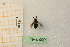  ( - pnac180)  @11 [ ] CreativeCommons - Attribution by Marco Bonifacino (2023) Unspecified Dipartimento di Biologia, Università degli Studi di Firenze
