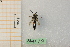  ( - pnac70)  @11 [ ] CreativeCommons - Attribution by Marco Bonifacino (2023) Unspecified Dipartimento di Biologia, Università degli Studi di Firenze