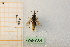  ( - pnac84)  @11 [ ] CreativeCommons - Attribution by Marco Bonifacino (2023) Unspecified Dipartimento di Biologia, Università degli Studi di Firenze