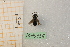  ( - pnmu196)  @11 [ ] CreativeCommons - Attribution by Marco Bonifacino (2023) Unspecified Dipartimento di Biologia, Università degli Studi di Firenze