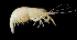  ( - BIC-0250)  @13 [ ] CreativeCommons - Attribution Non-Commercial Share-Alike (2014) Daisy WOWOR LIPI