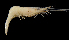  ( - BIC-0253)  @13 [ ] CreativeCommons - Attribution Non-Commercial Share-Alike (2014) Daisy WOWOR LIPI