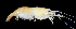  ( - BIC-0269)  @14 [ ] CreativeCommons - Attribution Non-Commercial Share-Alike (2014) Daisy WOWOR LIPI