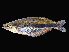  ( - Goldiei Avona1417)  @14 [ ] CreativeCommons - Attribution Non-Commercial Share-Alike (2012) Laurent Pouyaud IRD