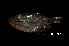  ( - BIF6562)  @11 [ ] CreativeCommons  Attribution Non-Commercial Share-Alike (2016) Nicolas HUBERT IRD