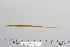  ( - 2005-0809)  @11 [ ] CreativeCommons  Attribution Non-Commercial Share-Alike (2017) Larry Page FLMNH