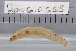  ( - 2006-0665)  @11 [ ] CreativeCommons  Attribution Non-Commercial Share-Alike (2017) Larry Page FLMNH