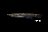  ( - BIF7699)  @11 [ ] CreativeCommons  Attribution Non-Commercial Share-Alike (2016) Nicolas HUBERT IRD