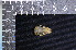  ( - IRD LSW-0061)  @11 [ ] CreativeCommons  Attribution Non-Commercial Share-Alike (2016) Yuli Sulistya Fitriana Indonesian Institute of Sciences, Museum Zoologicum Bogoriense