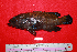  ( - IRD BMF-58.2)  @11 [ ] CreativeCommons  Attribution Non-Commercial Share-Alike (2016) Gino LIMMON Universitas Pattimura