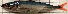  ( - IRD 20111126-car-2.2)  @11 [ ] CreativeCommons  Attribution Non-Commercial Share-Alike (2011) P. Borsa Institut de recherche pour le developpement