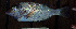  ( - IRD LETcal_20120527-28XD.2)  @11 [ ] CreativeCommons  Attribution Non-Commercial Share-Alike  Unspecified Institut de recherche pour le développement, France