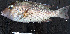  ( - IRD LETcal_20120528-i.2)  @11 [ ] CreativeCommons  Attribution Non-Commercial Share-Alike  Unspecified Institut de recherche pour le développement, France