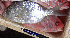  ( - IRD LETked_20091124-K.2)  @11 [ ] CreativeCommons  Attribution Non-Commercial Share-Alike  Unspecified Institut de recherche pour le développement, France